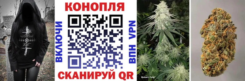 Каннабис гибрид  магазин  наркотиков  ссылка на мегу как войти  Катав-Ивановск 